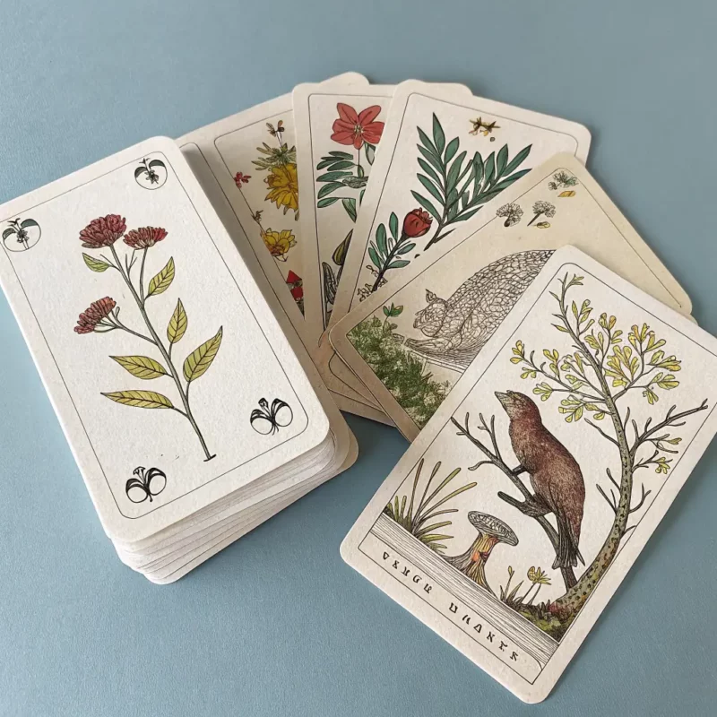 Wild Unknown Tarot